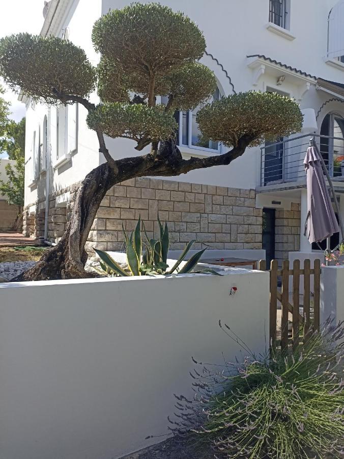 Chambres D'Hotes La Pastourelle Royan Centre Zewnętrze zdjęcie